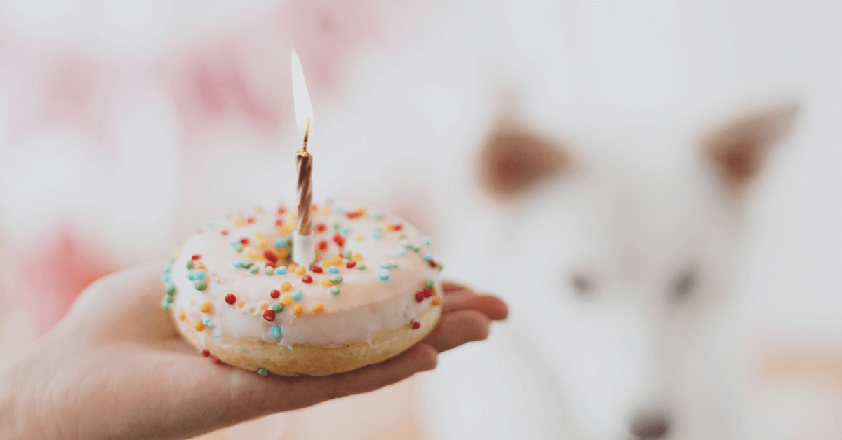donut birthday cake ideas
