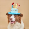 Cute dog birthday hat toy dog birthday gift