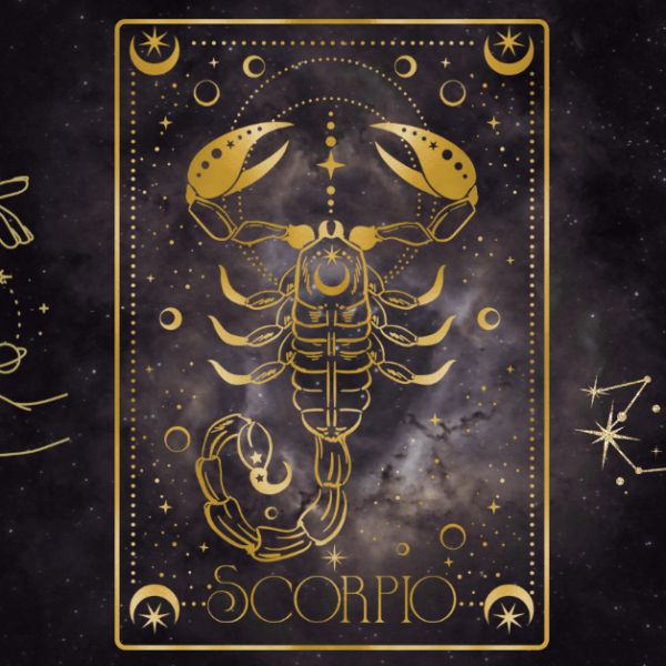 Latest Articles 6 Scorpio Birthday Party Ideas