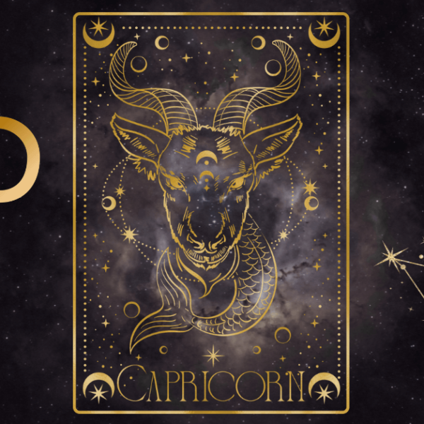 capricorn birthday party