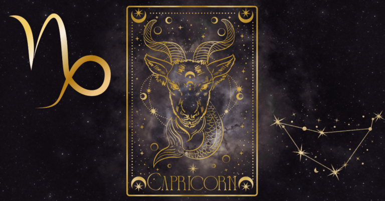 capricorn birthday party